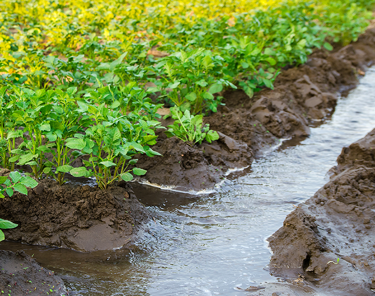 Agricultural Irrigation Services in Macomb County MI